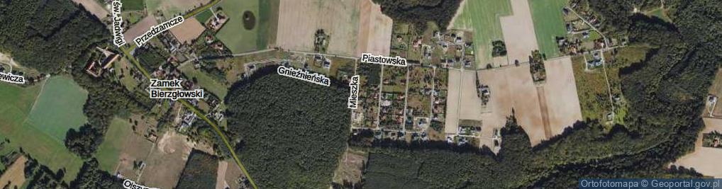 Zdjęcie satelitarne Mieszka I ul.